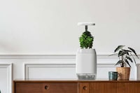 Dementia Support Smart Planters Image 6
