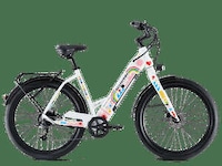 Pride-Celebrating Bike Collections Image 3