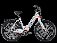 Pride-Celebrating Bike Collections Image 4