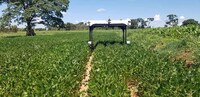 Crop-Monitoring Agriculture Robots Image 2