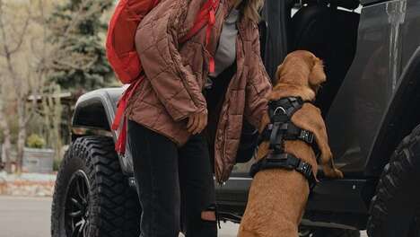 All-in-One Dog Harnesses