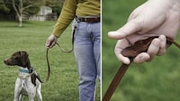 Hands-Free Dog Leashes