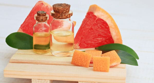 Organic Mosquito Repellents