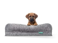 Comfortable Orthopedic Dog Beds