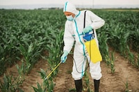 Pour-On Insecticides Image 1