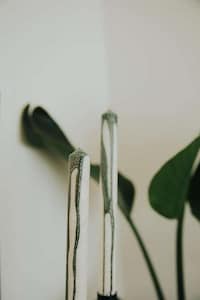 Holistic Wellness Cafés Image 4