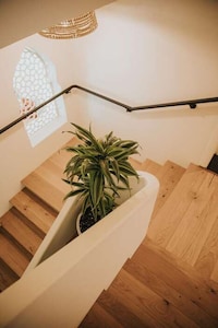 Holistic Wellness Cafés Image 5