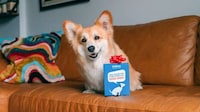 Pet Waste Bag Cards