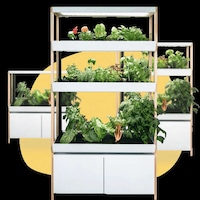 Indoor Hydroponic Smart Gardens Image 1
