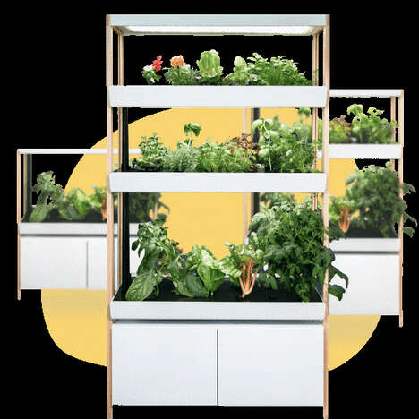 Indoor Hydroponic Smart Gardens