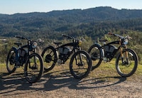 Vintage Performance E-Bikes Image 1