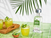 Premium Coconut-Infused Tequilas Image 1