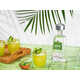 Premium Coconut-Infused Tequilas Image 1