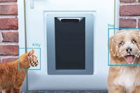 Facial Recognition Pet Doors Image 1