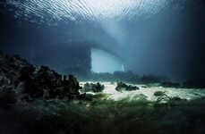 Natured-Covered Underwater Restaurants