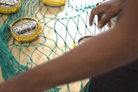 Fish-Attracting Net Lights