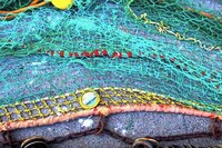 Fish-Attracting Net Lights Image 2
