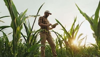 AI-Powered Pest Control Systems Image 1