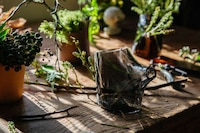 Sculpted Utilitarian Vessels