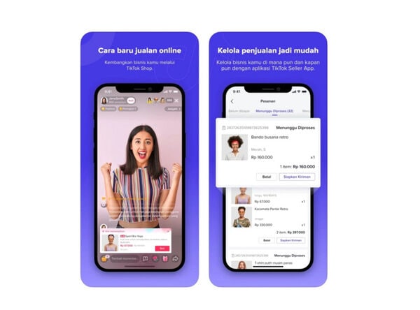 B2B TikTok Integrations