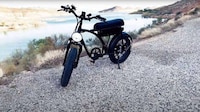 Two-Seater Electric Bikes Image 1
