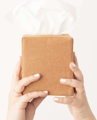 Stylish Tissue Box Covers Image 3