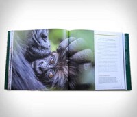 Hiking-Specific Travel Books Image 5
