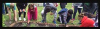 Indigenous Garden Initiatives