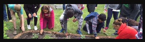 Indigenous Garden Initiatives