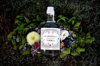 Witch-Approved Vodkas