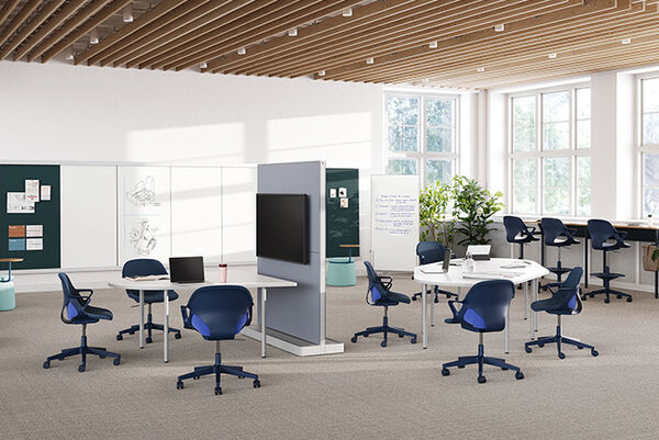 Ergonomic Hard-Sided Office Chairs