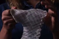 Grown Microbial-Woven Fabrics Image 5