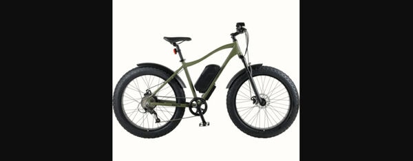 Ultra-Stable Beginner E-Bikes