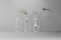 Minimalist Illusory Vases Image 3