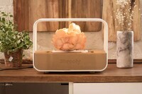 Connected Indoor Mushroom Gardens Image 1