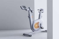 Decor-Matching Exercise Bikes Image 8