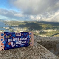 Protein-Packed Cricket Bars Image 2