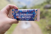 Protein-Packed Cricket Bars Image 4