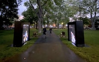 Immersive Public Art Installations Image 3