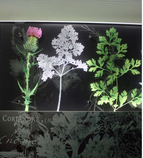 Illuminated Herb-Inspired Friezes
