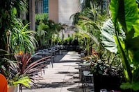 Tropical Toronto Summer Restaurants Image 4