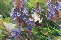 Large-Scale Floral Mosaics Image 4