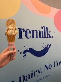 Animal-Free Gelatos