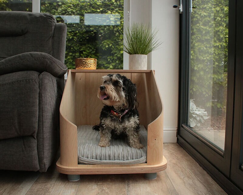 Dog side outlet bed