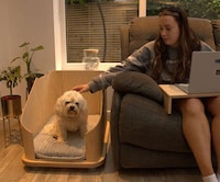 Dog Bed-Equipped Side Tables Image 2