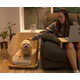 Dog Bed-Equipped Side Tables Image 2