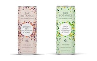 Botanical Booze-Free Beverages