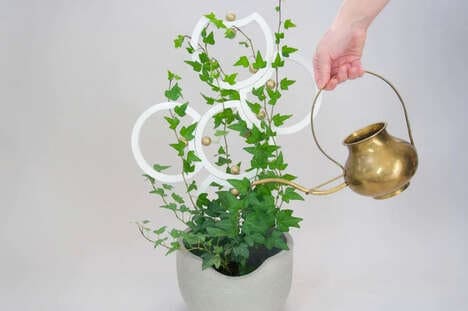 Trellis-Equipped Indoor Planters