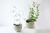 Trellis-Equipped Indoor Planters Image 3