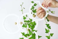 Trellis-Equipped Indoor Planters Image 4